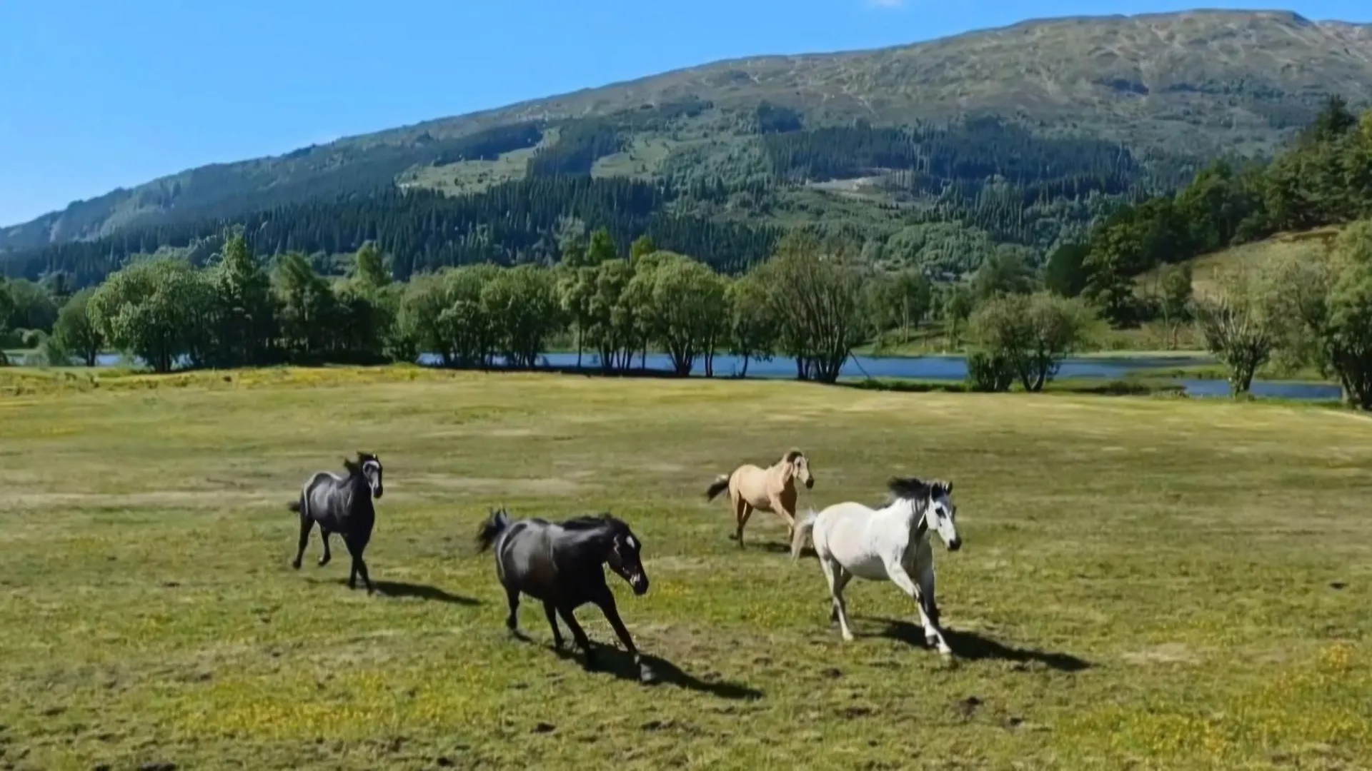 Nesvika Nature Reserve Holiday Home, Only 25 Min From Bergen