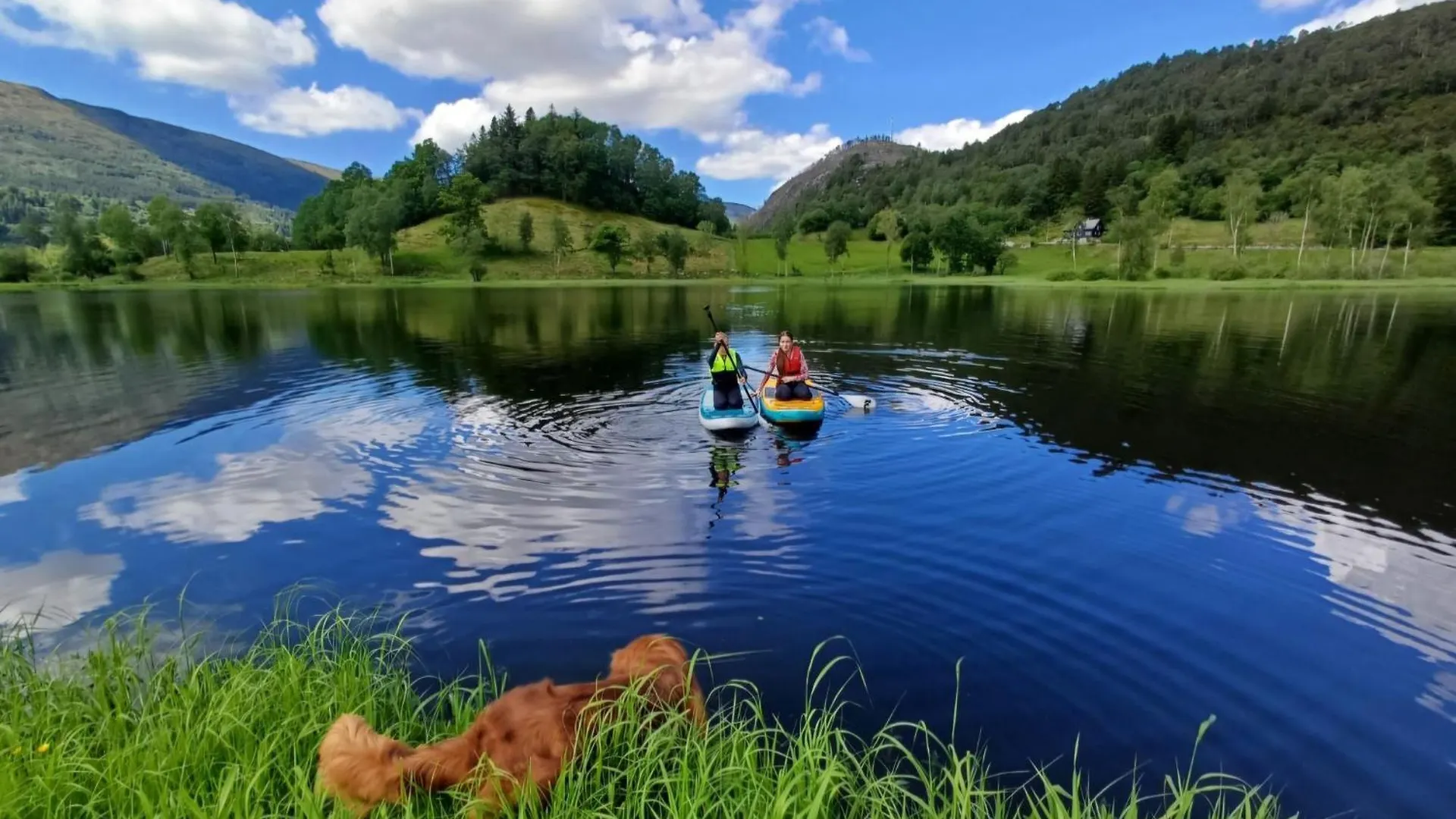 Nesvika Nature Reserve Holiday Home, Only 25 Min From Bergen