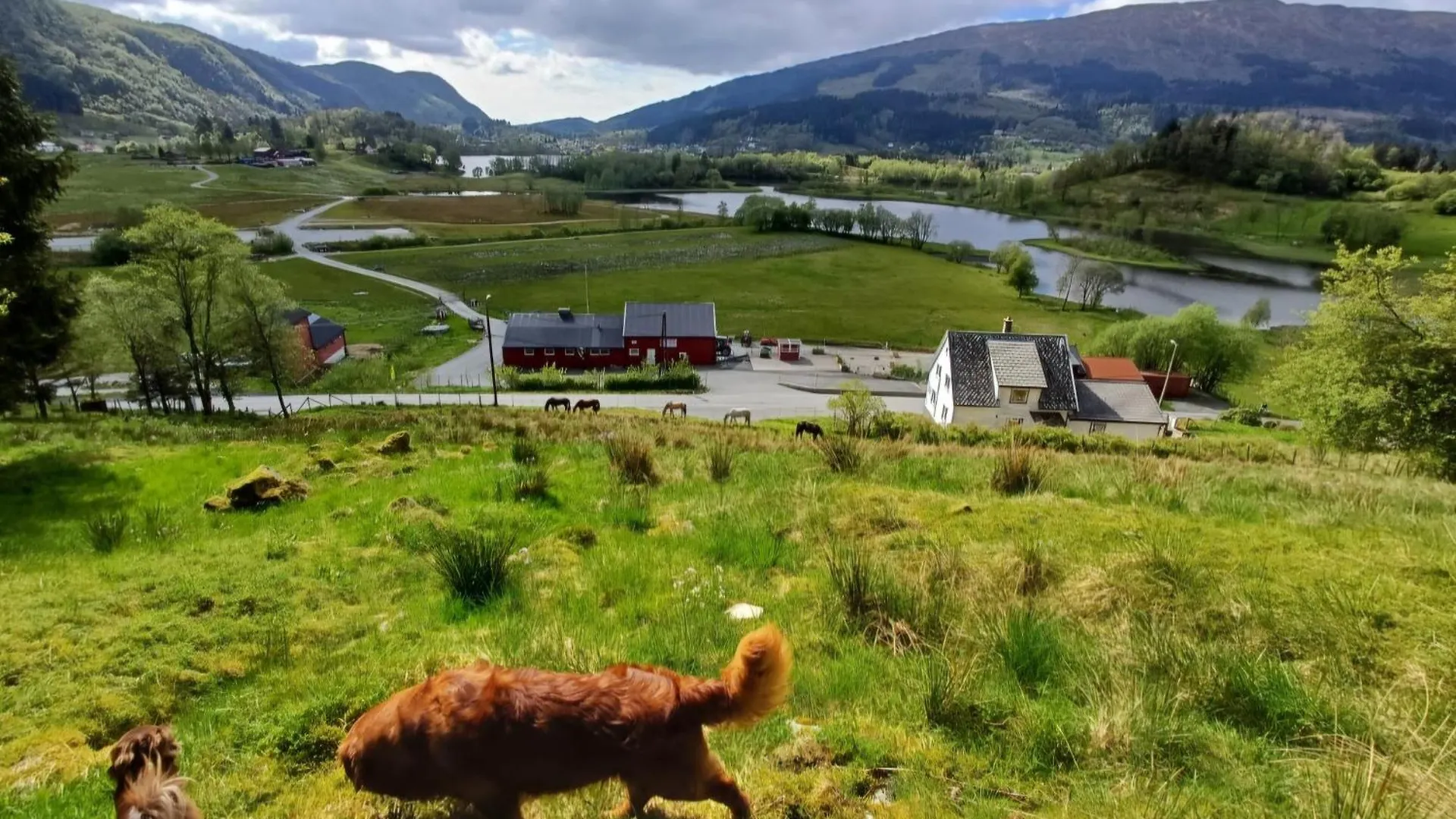 Nesvika Nature Reserve Holiday Home, Only 25 Min From Bergen 0*,  Norwegen