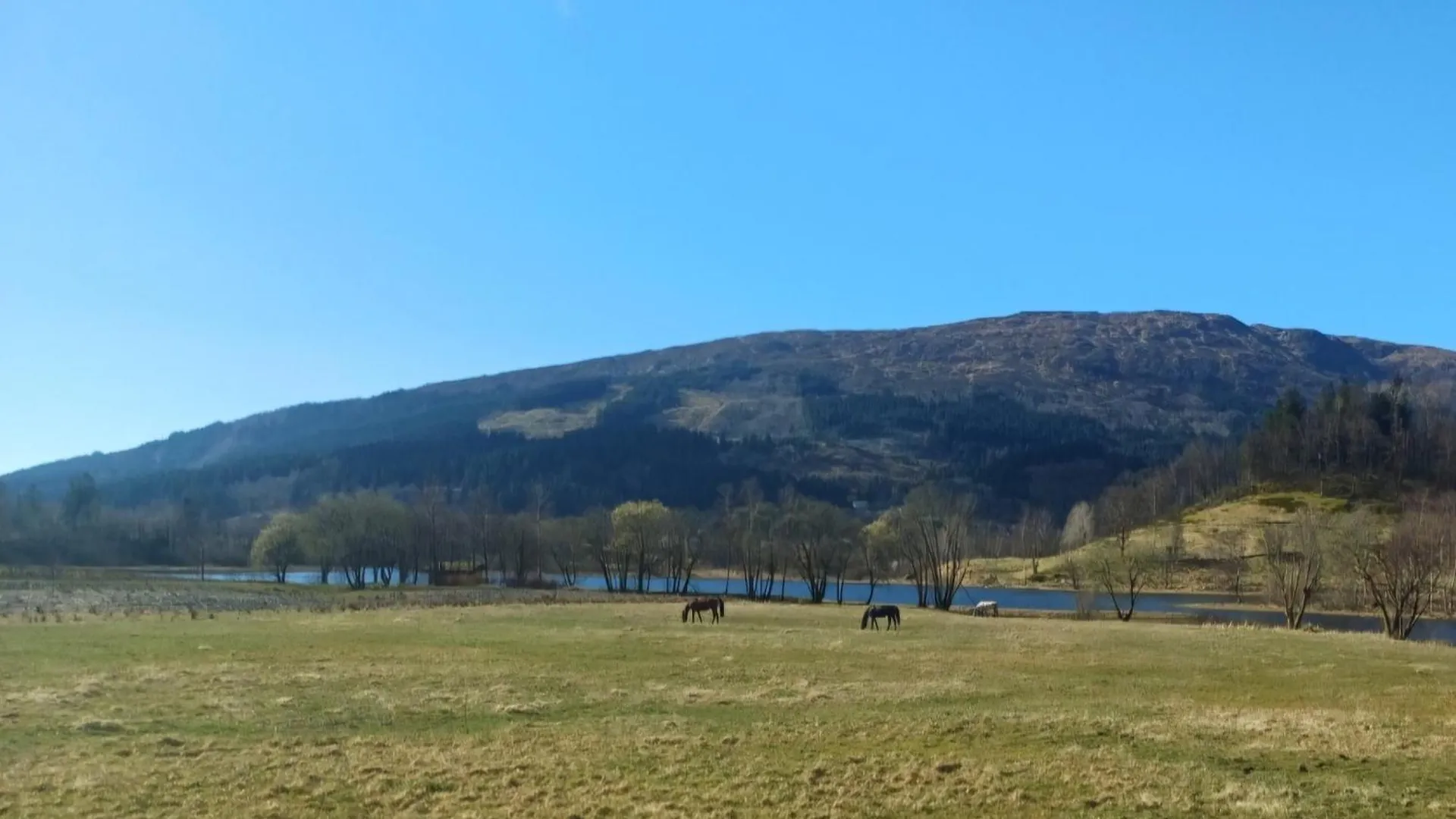 Nesvika Nature Reserve Holiday Home, Only 25 Min From Bergen