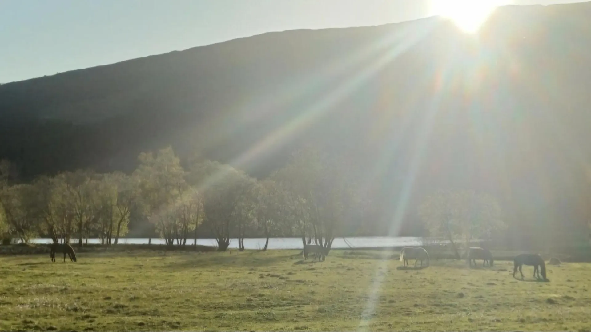 Nesvika Nature Reserve Holiday Home, Only 25 Min From Bergen