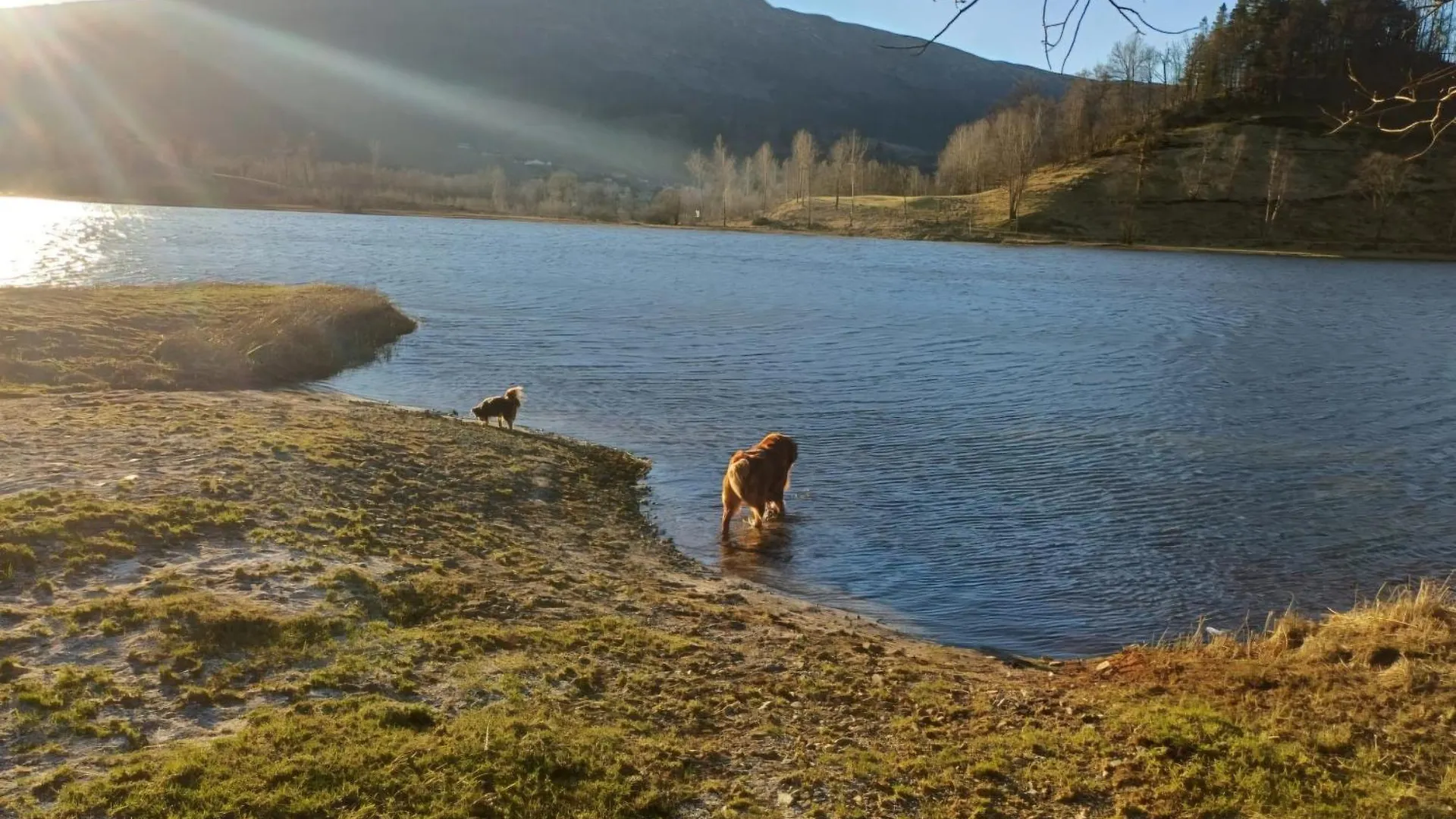 Nesvika Nature Reserve Holiday Home, Only 25 Min From Bergen 0*,
